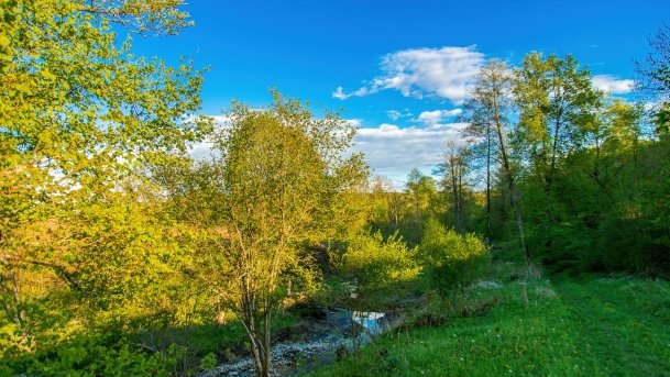 Grodzisko Święta Góra - zdjęcie 18