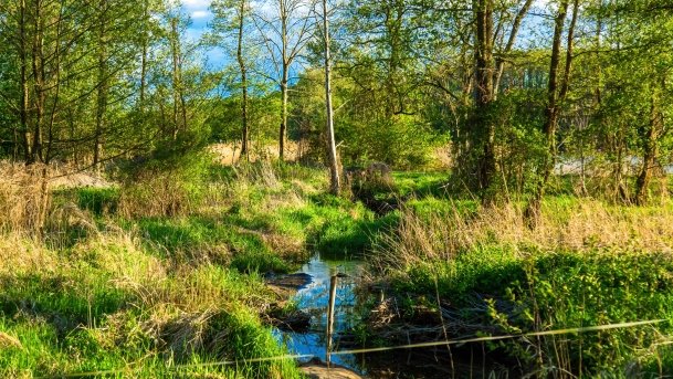 Grodzisko Święta Góra - zdjęcie 17