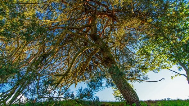 Grodzisko Święta Góra - zdjęcie 16