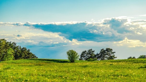 Grodzisko Święta Góra - zdjęcie 13