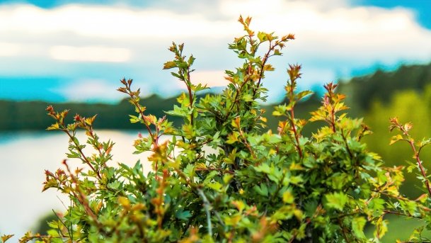 Grodzisko Święta Góra - zdjęcie 11