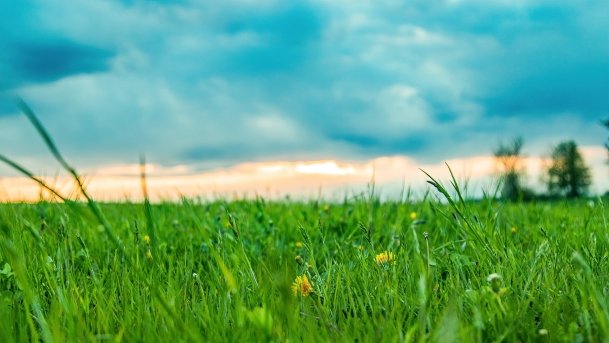 Grodzisko Święta Góra - zdjęcie 10