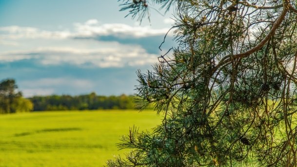 Grodzisko Święta Góra - zdjęcie 8