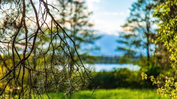 Grodzisko Święta Góra - zdjęcie 5