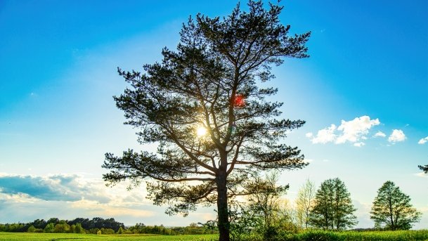 Grodzisko Święta Góra - zdjęcie 2