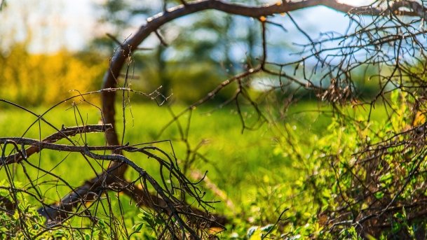 Grodzisko Święta Góra - zdjęcie 1