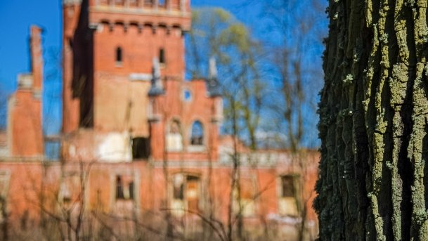 Pałac w Prosnej - zdjęcie 20