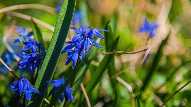 Pałac w Prosnej - zdjęcie 19