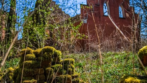 Pałac w Prosnej - zdjęcie 16