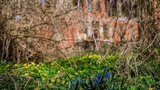 Pałac w Prosnej - zdjęcie 13