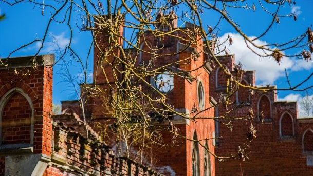 Pałac w Prosnej - zdjęcie 12