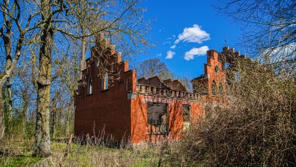 Pałac w Prosnej - zdjęcie 5