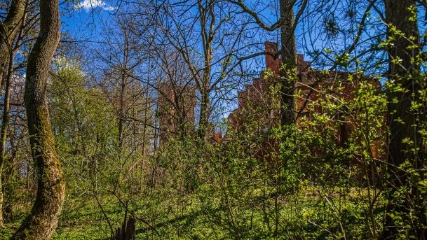 Pałac w Prosnej - zdjęcie 1