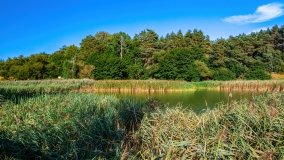 Ścieżka Edukacyjna w Pieckach