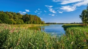 Ścieżka Edukacyjna w Pieckach