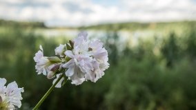 Ścieżka Edukacyjna w Pieckach