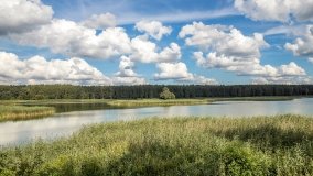 Ścieżka Edukacyjna w Pieckach