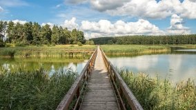 Ścieżka Edukacyjna w Pieckach