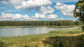 Ścieżka Edukacyjna w Pieckach