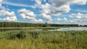 Ścieżka Edukacyjna w Pieckach