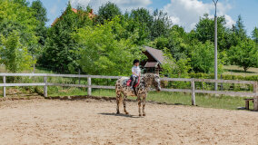 Mazurskie Mini Zoo w Kąpie