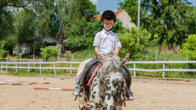 Mazurskie Mini Zoo w Kąpie