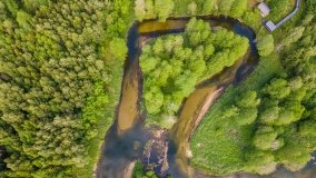 Taras widokowy nad Pisą