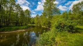 Taras widokowy nad Pisą