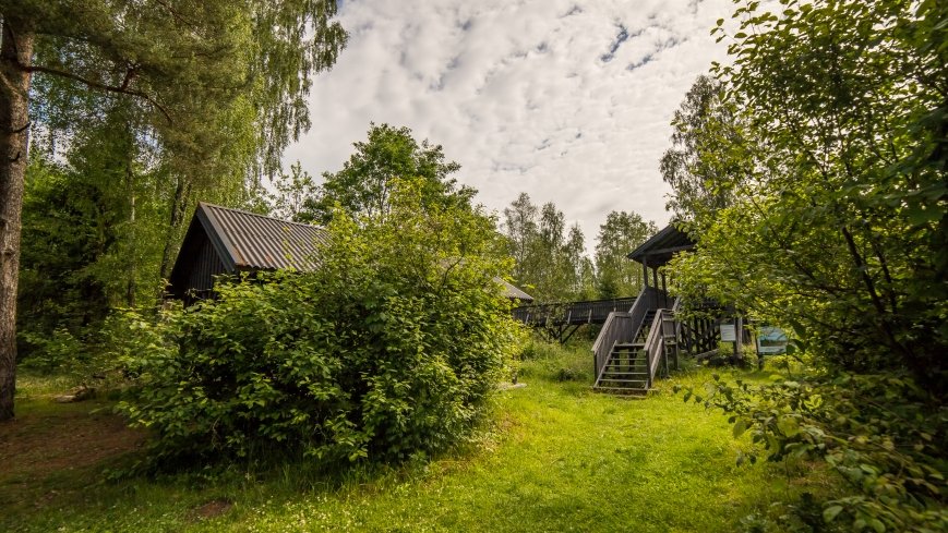 Galeria widokowa nad Pisą - zdjęcie 1