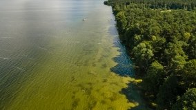 jezioro Śniardwy - zdjęcie 15