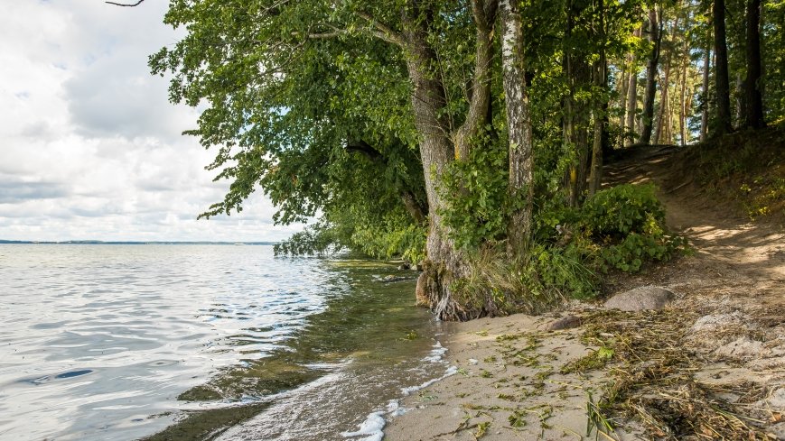 Punkt widokowy na panoramę Śniardw - zdjęcie 1