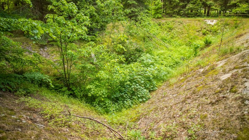 Ruiny Kwatery Luftwaffe - zdjęcie 1