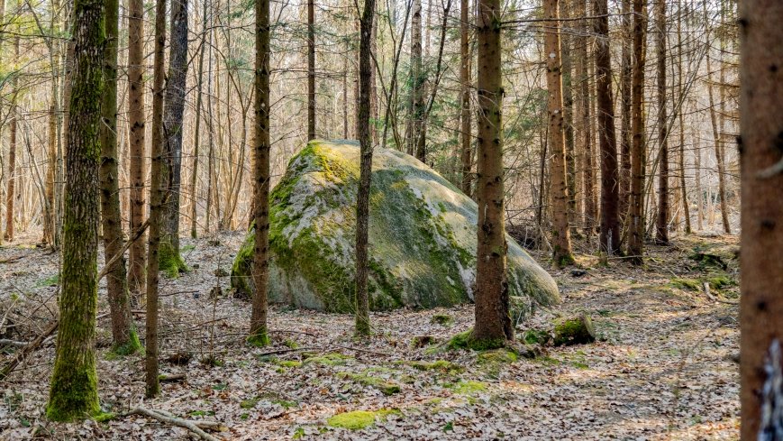 Diabelski Głaz - zdjęcie 1