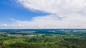 Wieża widokowa Las Ochronny Szast