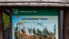 Wieża widokowa Las Ochronny Szast