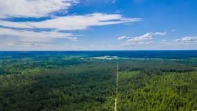 Wieża widokowa Las Ochronny Szast