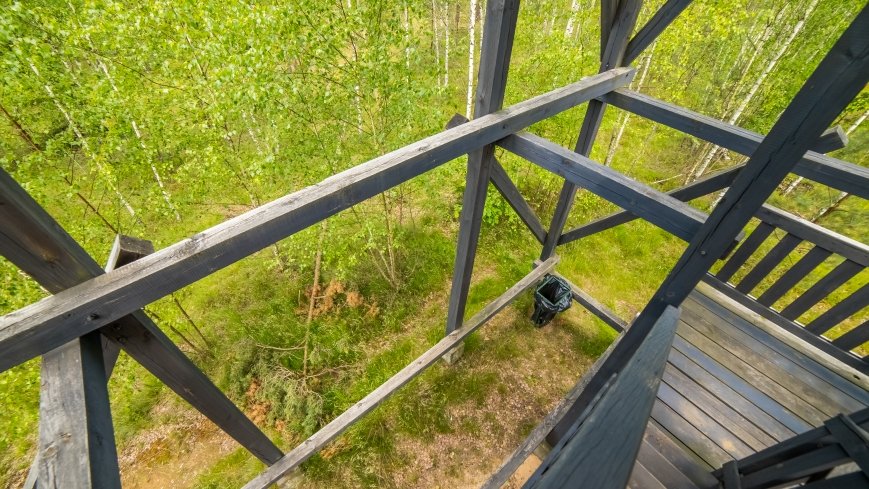 Wieża widokowa Las Ochronny Szast - zdjęcie 1
