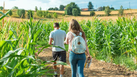 Galaktyczny Labirynt Mikołajki 2023