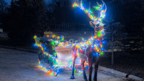 Wioska św. Mikołaja - zdjęcie 44