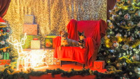 Wioska św. Mikołaja - zdjęcie 42