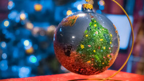 Wioska św. Mikołaja - zdjęcie 35