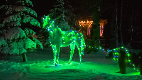 Wioska św. Mikołaja - zdjęcie 31