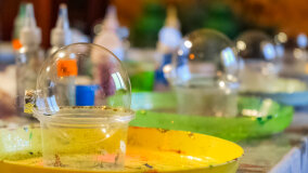 Wioska św. Mikołaja - zdjęcie 22