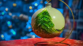 Wioska św. Mikołaja - zdjęcie 21