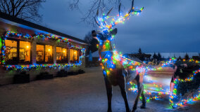 Wioska św. Mikołaja - zdjęcie 15