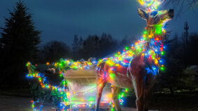 Wioska św. Mikołaja - zdjęcie 5