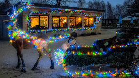 Wioska św. Mikołaja - zdjęcie 3