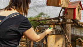 Wiewiórkarnia w MiniZoo w Wilkasach - zdjęcie 12