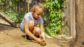 Wiewiórkarnia w MiniZoo w Wilkasach - zdjęcie 10