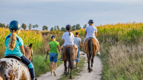 Spacery i jazda konna w terenie - zdjęcie 14